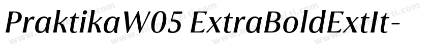 PraktikaW05 ExtraBoldExtIt字体转换